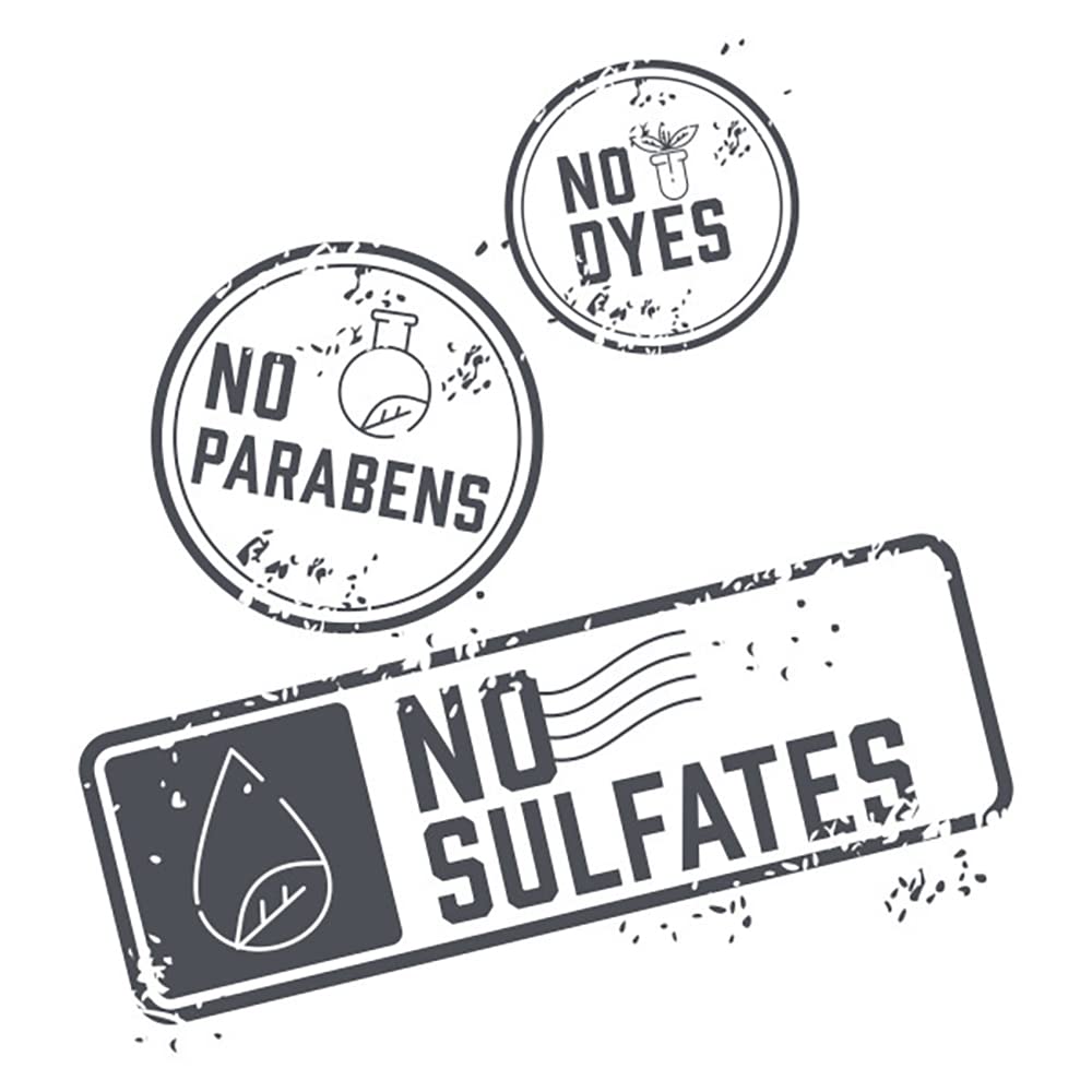 Aveeno Apple Cider Vinegar Shampoo + Conditioner for Balance & High Shine, Daily Clarifying & Soothing Scalp Shampoo for Oily or Dull Hair, Paraben & Dye-Free, 12 Fl Oz